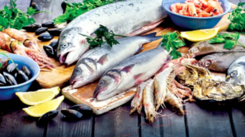 أسعار الأسماك اليوم: البلطي يصل إلى 100 جنيه والجمبري يرتفع إلى 1000 جنيه