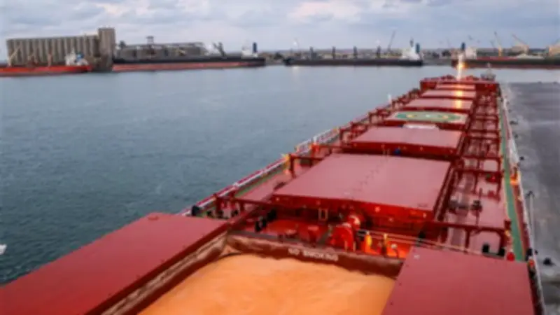 ميناء دمياط يسجل حركة قياسية: 15 ألف طن قمح وارد و97 ألف طن بضائع متداولة خلال 24 ساعة