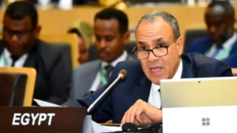 وزير الخارجية: الحصول على مياه الشرب حق إنساني أساسي.. ورؤية أفريقيا 2063 خطوة لحمايته