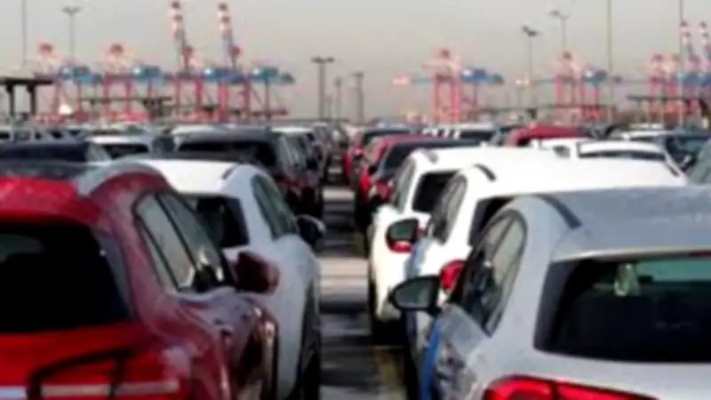 مصلحة الجمارك تحقق 4.242 مليون جنيه من مزاد علني للسيارات والبضائع