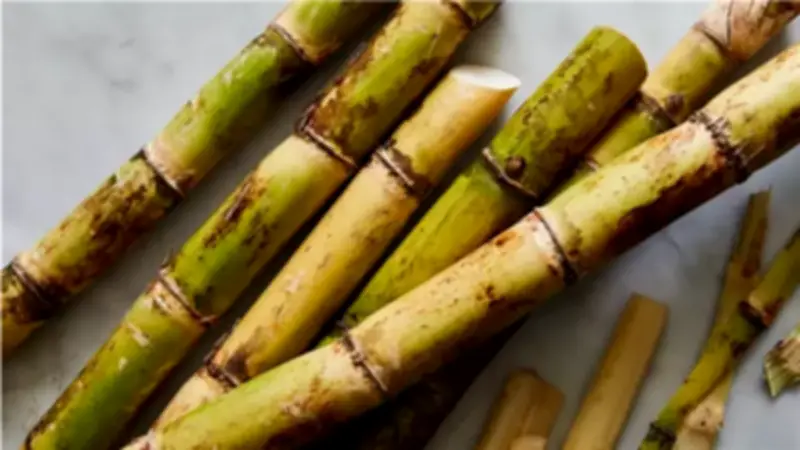 شركة السكر تستهدف توريد 6 ملايين طن من قصب السكر لإنتاج 675 ألف طن