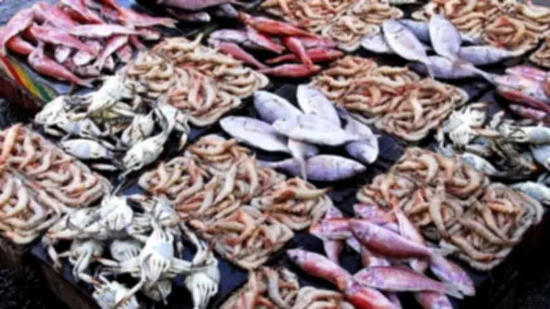 سعر السمك اليوم: البلطي الممتاز بـ65 جنيهًا والجمبري يقفز إلى 1200 جنيه في رمضان