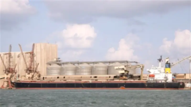 ميناء دمياط يشهد حركة تجارية نشطة باستقبال 65 ألف طن قمح أوكراني وتداول 78 ألف طن بضائع