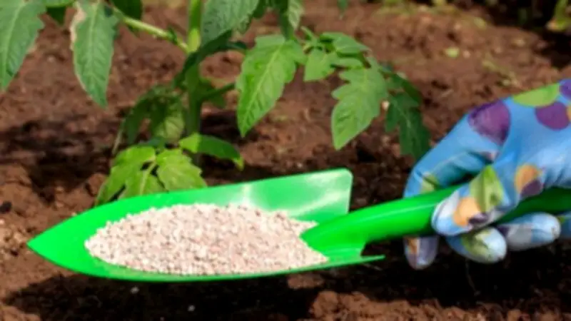 انخفاض سلفات النشادر 858 جنيها.. تفاصيل أسعار الأسمدة في الأسواق اليوم الأحد