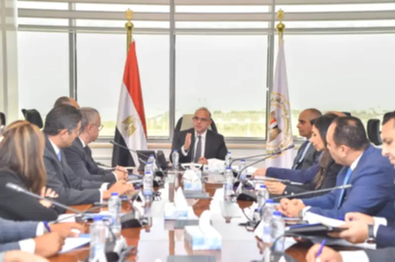 وزير الاستثمار: المستثمر الوطني والأجنبي شركاء في نجاح وتنمية الاقتصاد المصري