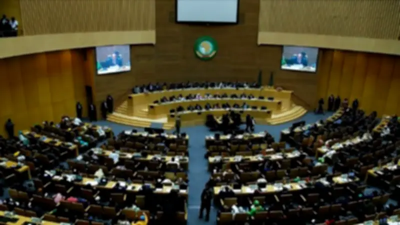 الاتحاد الأفريقي يؤكد: سيادة الصومال خط أحمر ويدين هجمات النيجر الإرهابية