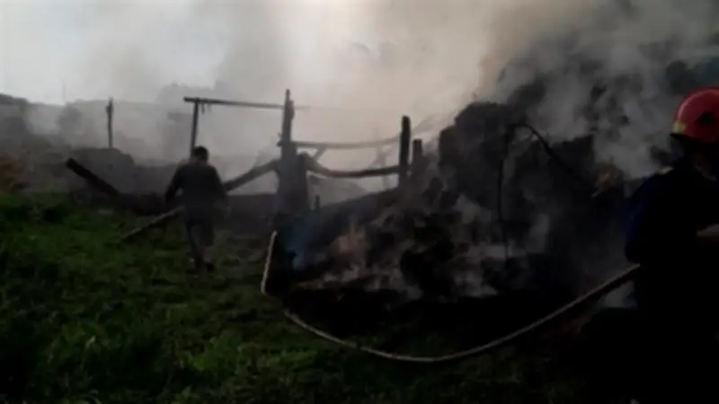 قوات الحماية المدنية تنجح في السيطرة على حريق ضخم بمزرعة في محافظة الغربية