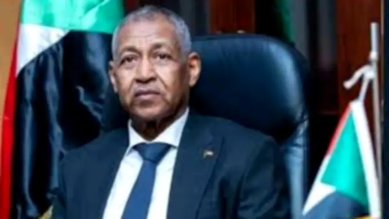 سفير السودان بالقاهرة يؤكد تعزيز الشراكة الاستراتيجية مع مصر في المجالات الصحية والدبلوماسية