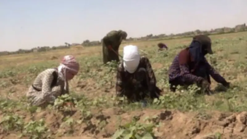 دار الإفتاء توضح حكم الإفطار في رمضان لأصحاب الأعمال الشاقة والظروف القاسية