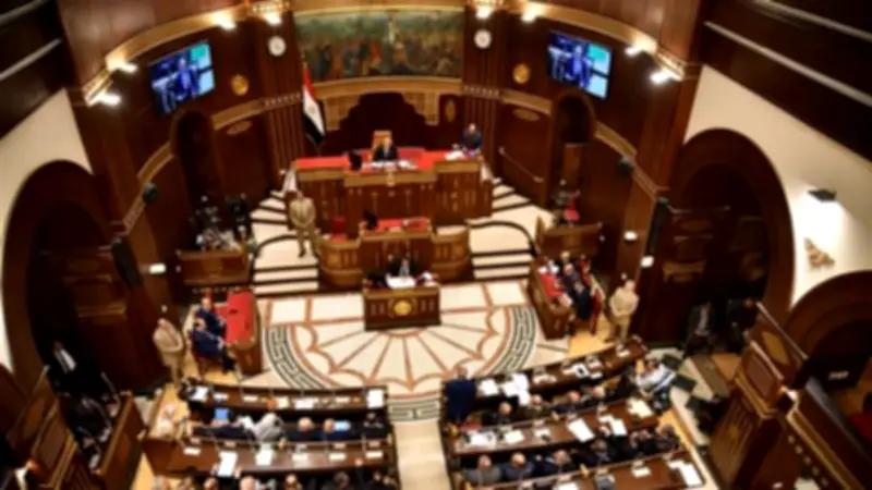 مجلس الشيوخ يحيل تقارير حيوية إلى الحكومة الأسبوع المقبل بشأن تطوير الطرق والصحة والتعليم