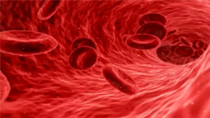 تأثير أنيميا فقر الدم على الجسم خلال صيام رمضان: نصائح طبية هامة