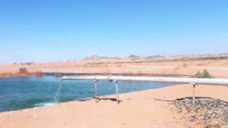 أسوان تستعد لرمضان بحملات بيطرية وحظر الألعاب النارية وتسليم آبار وزيارة وزيرة الثقافة