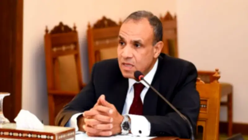 وزير الخارجية يوضح سبل تعظيم الاستفادة من عضوية الاتحاد الأفريقي في مجموعة العشرين