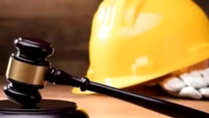 تقارير دورية لتعزيز فرص التشغيل.. كيف نظم القانون بيانات سوق العمل؟