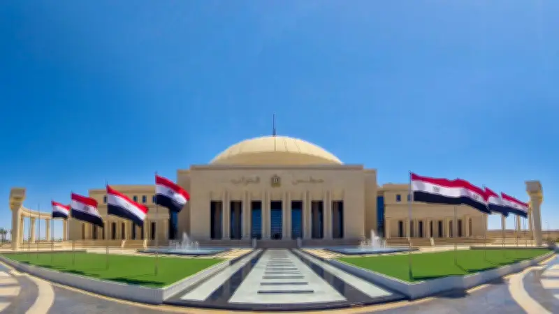 موافقة مبدئية من نواب البرلمان على تعديلات قانون ذوي الإعاقة لحل أزمة سيارات المزايا