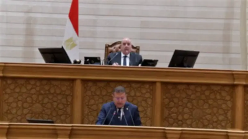 نواب يؤكدون: تعديل قانون سجل المستوردين رسالة طمأنة للمستثمرين ودعم لبيئة الأعمال