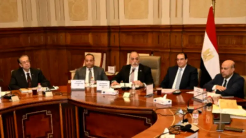 وكيل دستورية الشيوخ: قانون المجالس المحلية يواجه ولادة متعثرة وعقبات دستورية