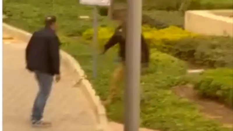 وزير الاتصالات يعلن عن إطلاق مشروع قومي للذكاء الاصطناعي في مصر