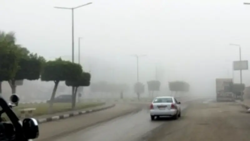 الأرصاد تحذر: أجواء شتوية باردة وضباب كثيف يغطي طرق رئيسية خلال الأيام المقبلة