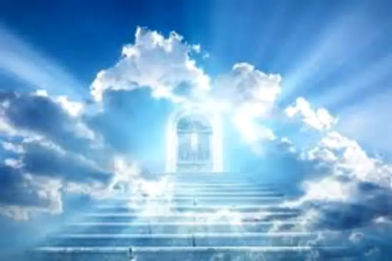 لماذا بشّر النبي أبو بكر الصديق بالجنة؟ الدكتور أحمد الرخ يشرح الأسباب والفضائل