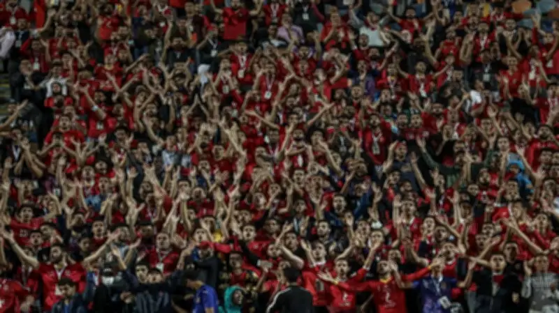 النادي الأهلي ينظم رحلات مجانية لجماهيره إلى الإسكندرية لدعم الفريق أمام سموحة