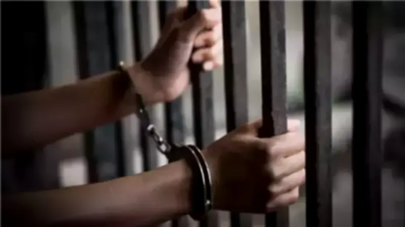 حبس متهم بوضع كلاب في أكياس بلاستيكية بحدائق أكتوبر بعد فيديو متداول