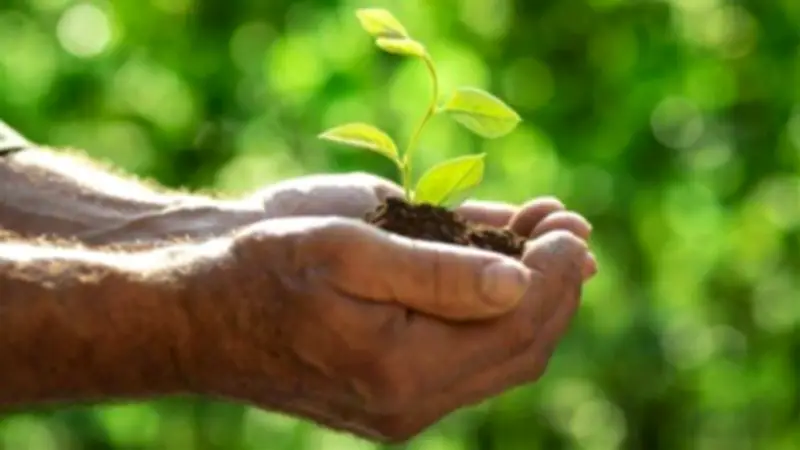 الأزهر للفتوى يوضح أثر الكلمة الطيبة في تحديد مصير الإنسان خلال رمضان