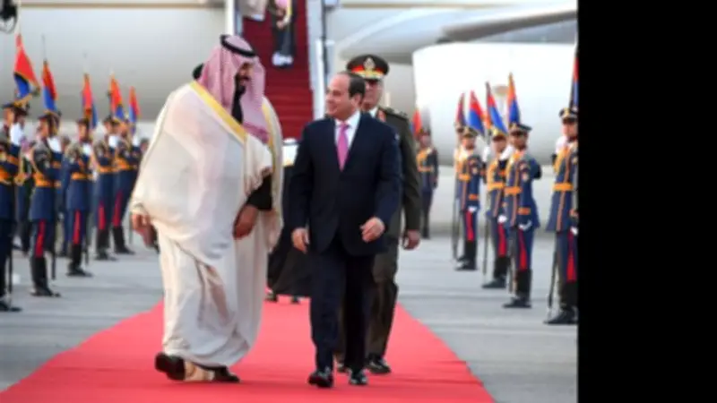 مصر والسعودية تؤكدان على ضرورة التزام الأطراف باتفاق وقف حرب غزة وتنفيذ خطة ترامب للسلام