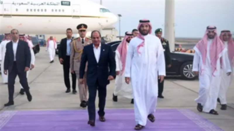 مصر والسعودية تؤكدان على ضرورة تجنب التصعيد ودعم الحلول السلمية في المنطقة