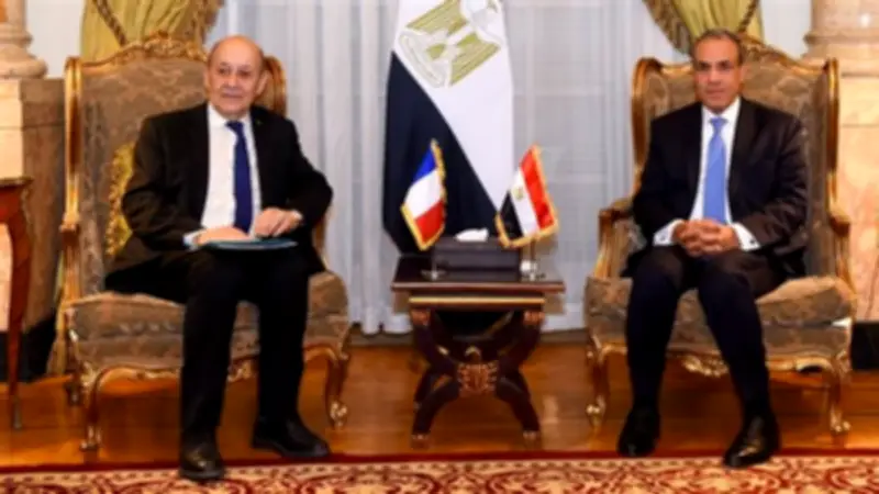 وزير الخارجية المصري يؤكد دعم مصر الثابت لسيادة لبنان ووحدة أراضيه
