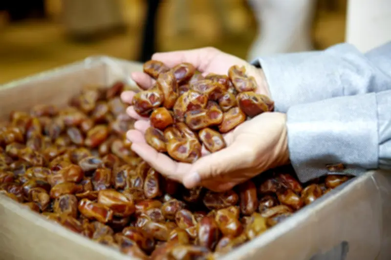 مصر تتصدر العالم في نمو إنتاج التمور بنسبة قياسية غير مسبوقة