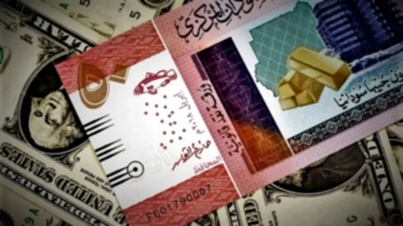 استقرار سعر الجنيه السوداني مقابل الدولار في بنك السودان المركزي اليوم