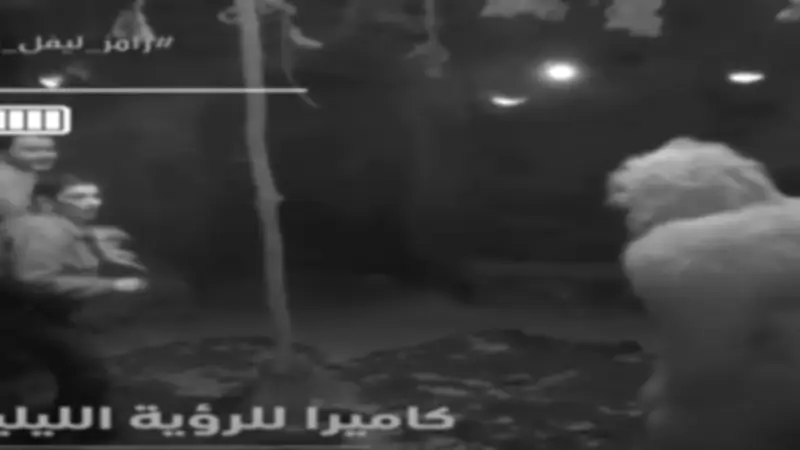 سماح أنور تظهر ثباتًا انفعاليًا مذهلاً في مواجهة غوريلا رامز ببرنامج ليفل الوحش