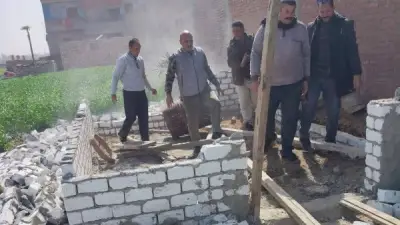 الشرقية تزيل 117 حالة تعدٍ على الأراضي الزراعية في حملات مكثفة