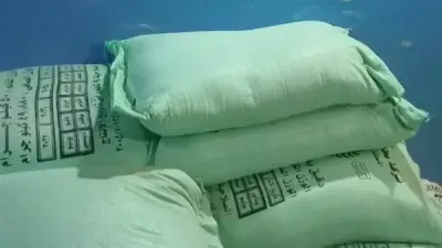 إحباط تهريب 15 طن دقيق مدعم في البدرشين وضبط 640 مخالفة في حملات أمنية بالجيزة