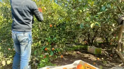 الصادرات الغذائية المصرية تصل إلى 185 دولة.. روسيا والسعودية في المقدمة