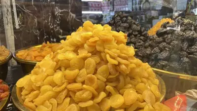 أسعار ياميش رمضان 2026 بسوق الساحل: المشمشية تصل لـ800 جنيه والقراصيا بـ300 جنيه