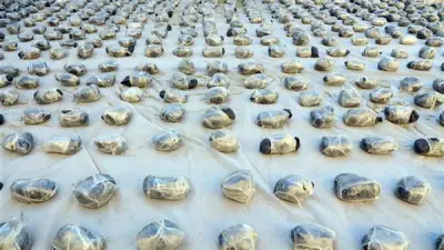 نيابة الأموال العامة تحقق مع 3 متهمين بغسل 70 مليون جنيه من تجارة المخدرات