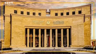 البنك المركزي: تحويلات المصريين بالخارج تسجل 41.5 مليار دولار في 2025