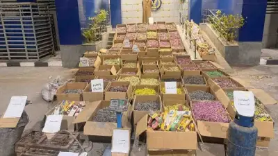 مديرية التموين بالغربية تصادر 4800 قطعة ألعاب نارية محظورة لخطورتها على الأطفال