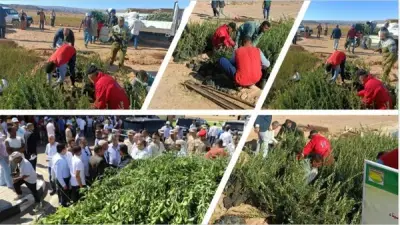 تقرير: القيمة السوقية للتصوير الفضائي في الزراعة تبلغ 588 مليون دولار وتتجه للنمو