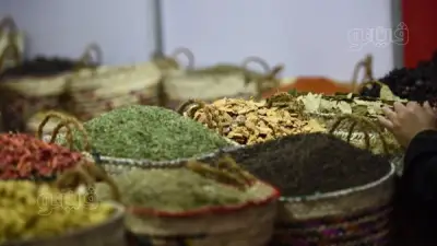 ضربات أمنية استباقية في الجيزة: ضبط 6 أطنان سلع فاسدة ورفع 640 إشغالًا قبل رمضان