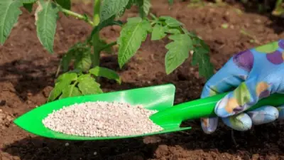 انخفاض سلفات النشادر 858 جنيها.. تفاصيل أسعار الأسمدة في الأسواق اليوم الأحد