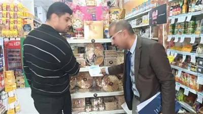 دمياط تشن حملة رقابية مكبرة: إعدام أغذية فاسدة وتحرير محاضر للمخالفين