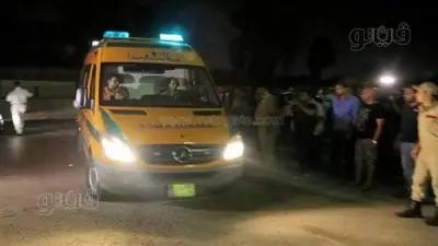 نيابة مدينة نصر تستمع لزملاء عامل حلويات قتل دهسًا أثناء مطاردته لربة منزل هاربة