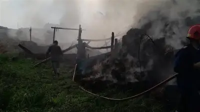 قوات الحماية المدنية تنجح في السيطرة على حريق ضخم بمزرعة في محافظة الغربية