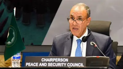 مصر تترأس جلسة مجلس السلم والأمن الأفريقي لدعم وحدة وسيادة السودان والصومال