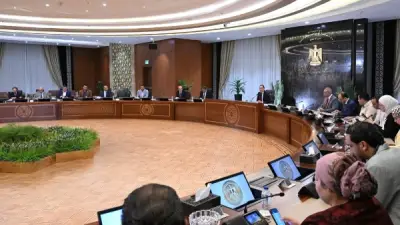 وزير الإعلام ضياء رشوان: الأزمة الكبيرة في الإعلام المصري تتطلب مواجهة فورية