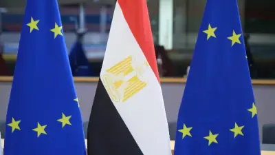 أبو زيد: مصر واحة استقرار وأرض خصبة للاستثمارات الأوروبية في المنطقة