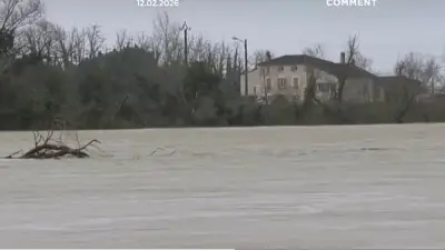 عاصفة نيلز تضرب الساحل الأطلسي الفرنسي وتتسبب في اقتلاع الأشجار وأضرار بالميناء